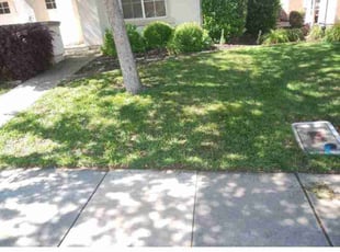 Montu P.'s Grass Cutting service result