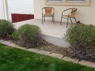 Bush Trimming by Jamill Pacheco for Andrew M. in Colorado Springs, CO