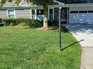 Michael B.'s Lawn Care service result