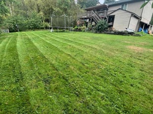 Erica K.'s Lawn Care service result