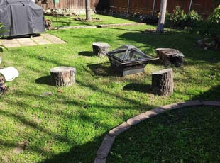 Leaf Removal by Rene Andrade for Nick F. in Austin, TX