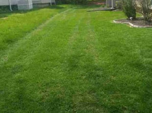 Danie D.'s Lawn Service service result