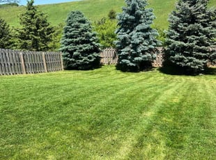 Reginald L.'s Lawn Care service result