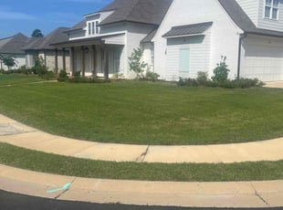 Micheal A.'s Yard Cutting service result