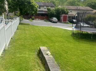 Nicole B.'s Lawn Mowing Service service result