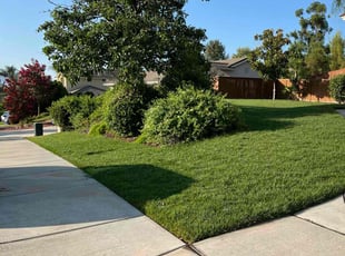 Melissa D.'s Lawn Care service result