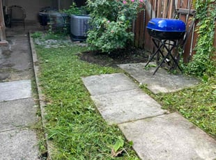 Weeding by Dimas Lopez for Gabby G. in Baltimore, MD