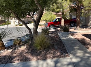 Leaf Removal by Kareem Jenkins for Samantha S. in Henderson, NV