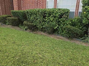 Raquelia R.'s Bush Trimming service result