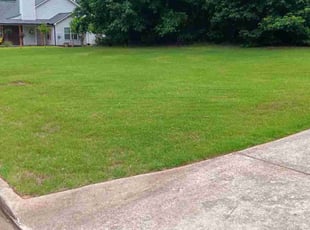 Harry C.'s Lawn Mowing service result