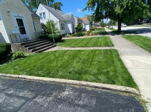 Kendell A.'s Yard Cutting service result