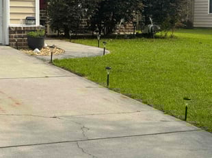 Mauri M.'s Lawn Mowing service result