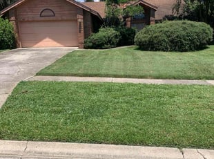 Henry N.'s Lawn Care service result