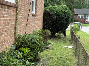 Katie S.'s Bush Trimming service result