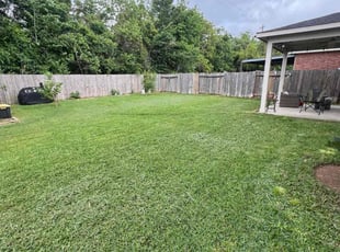 Daphne M.'s Lawn Mowing service result
