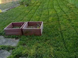 Nicholas E.'s Lawn Service service result