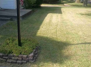 Mia H.'s Lawn Maintenance service result