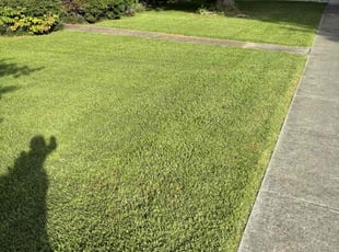 Jean S.'s Lawn Maintenance service result