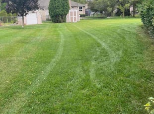 Denise D.'s Lawn Care service result