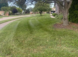Elizabeth L.'s Lawn Service service result