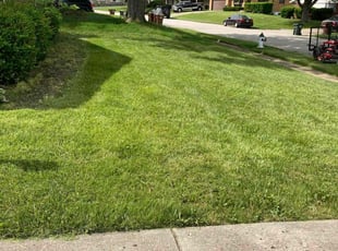 Nathan S.'s Lawn Maintenance service result