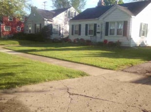 Kesha S.'s Lawn Mowing service result