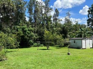Connie L.'s Yard Cutting service result