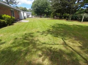 Kacy T.'s Lawn Mowing Service service result
