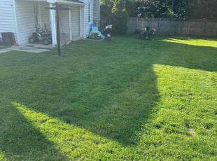 Dawn R.'s Lawn Maintenance service result