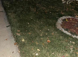 Cleanups by Santos Blanco for Brenda V. in Saint Paul, MN