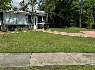 Daniel Z.'s Lawn Mowing service result