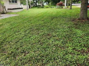 Landon W.'s Lawn Service service result