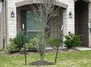 Weeding by Abraham Flores for Rachel J. in Houston, TX
