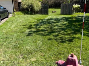 Michael H.'s Grass Cutting service result