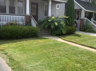 Ofina U.'s Yard Cutting service result
