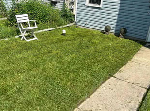 Genene L.'s Lawn Mowing service result