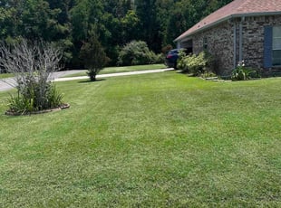Caitlan N.'s Lawn Mowing service result