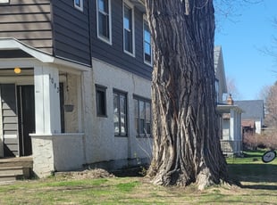 Brian A.'s Cleanups service result