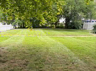 Jason L.'s Lawn Care service result