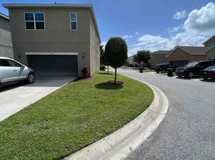 Antoinette H.'s Lawn Service service result