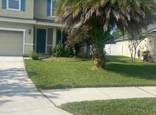 Tonya S.'s Grass Cutting service result