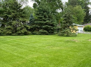 Rachel J.'s Grass Cutting service result