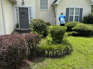 Chris S.'s Bush Trimming service result