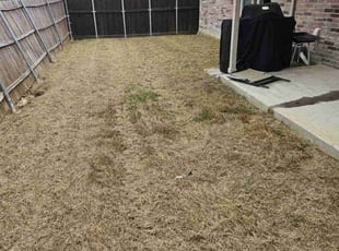 Weeding by Ernest Howard for Nate F. in Little Elm, TX