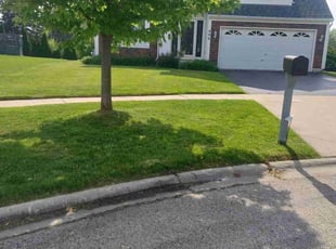 Alberto R.'s Lawn Service service result
