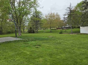 Frances B.'s Lawn Service service result
