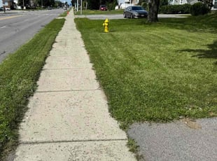 Irving C.'s Lawn Mowing Service service result