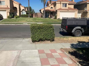 Kristine C.'s Lawn Service service result
