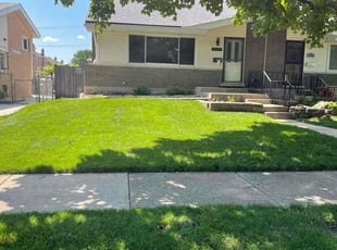 Colleen L.'s Lawn Care service result