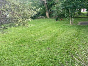 Marry B.'s Lawn Maintenance service result